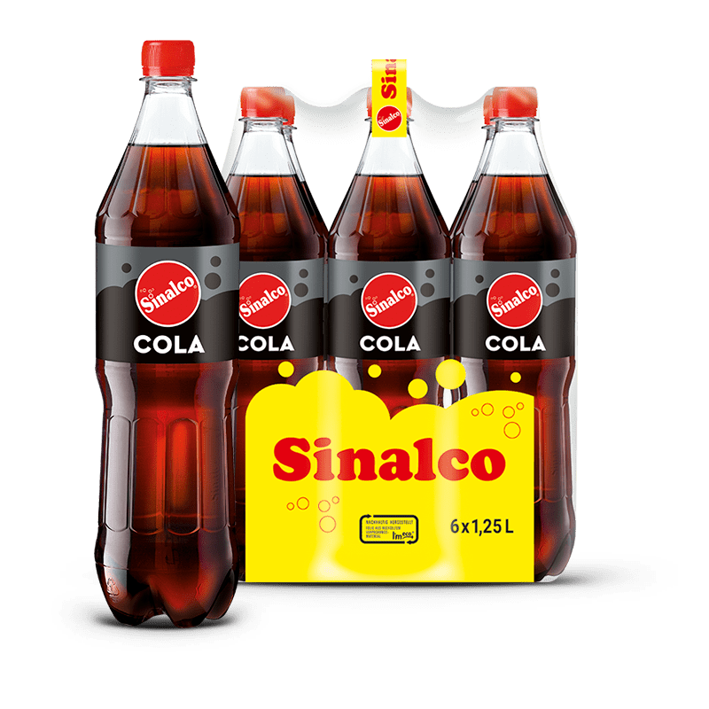 6 x 1,25 L PET Einweg